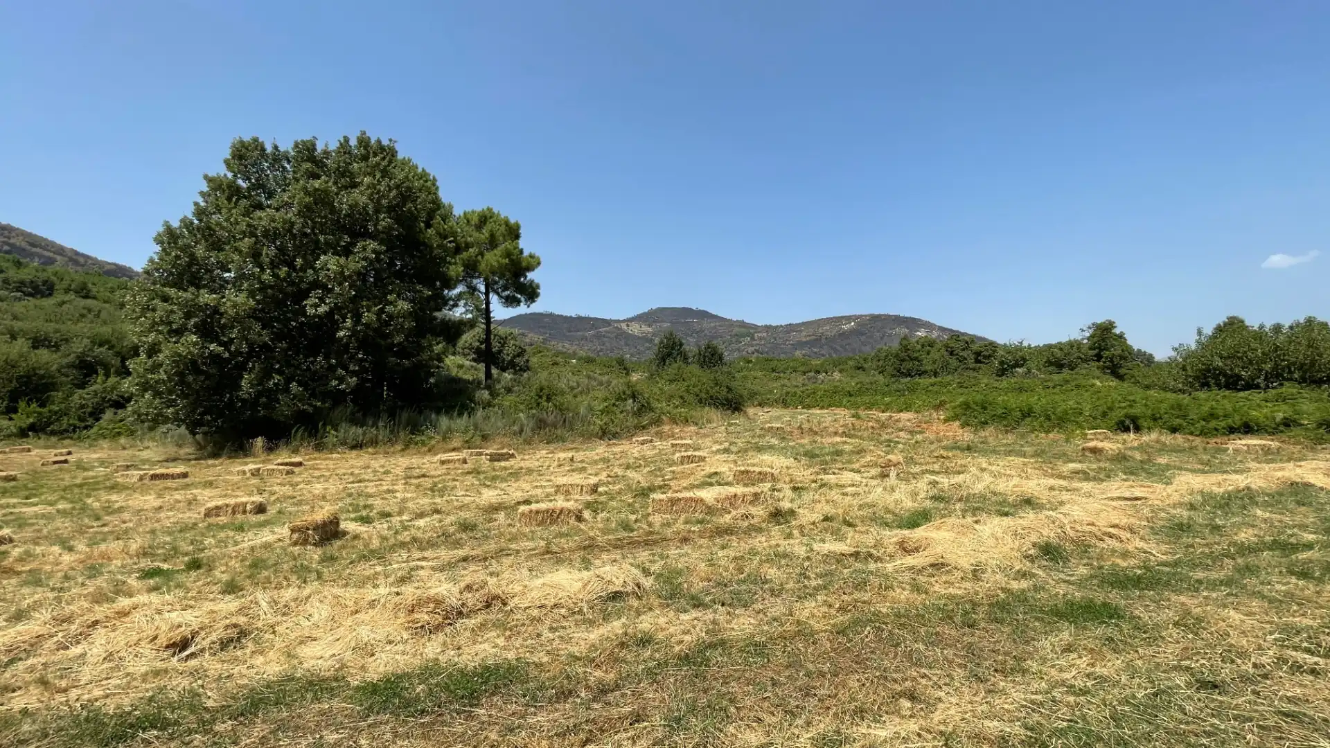 Grundstücke zum Verkauf in El Arenal 
