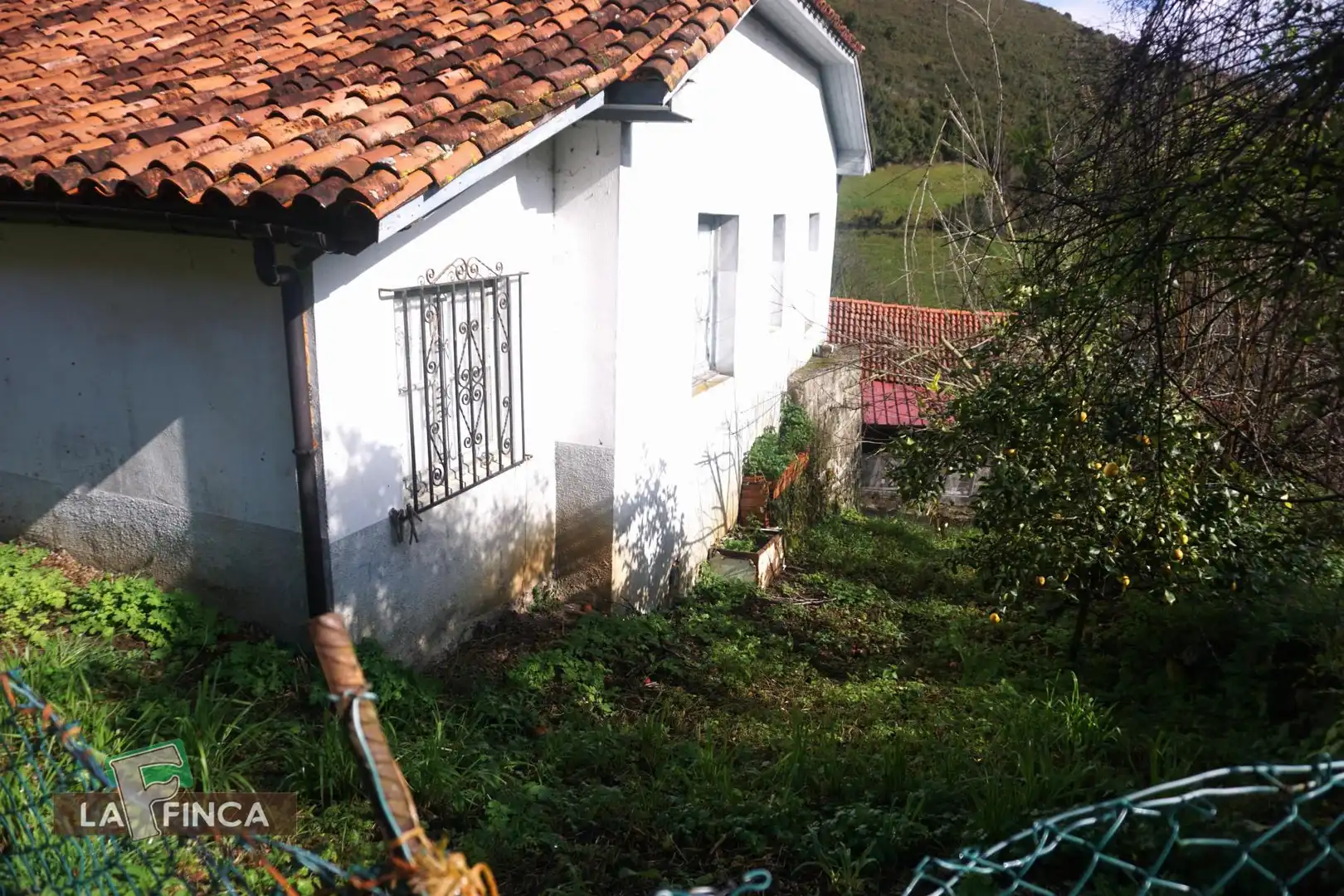 Jardín de Casa o chalet en venta en Belmonte de Miranda