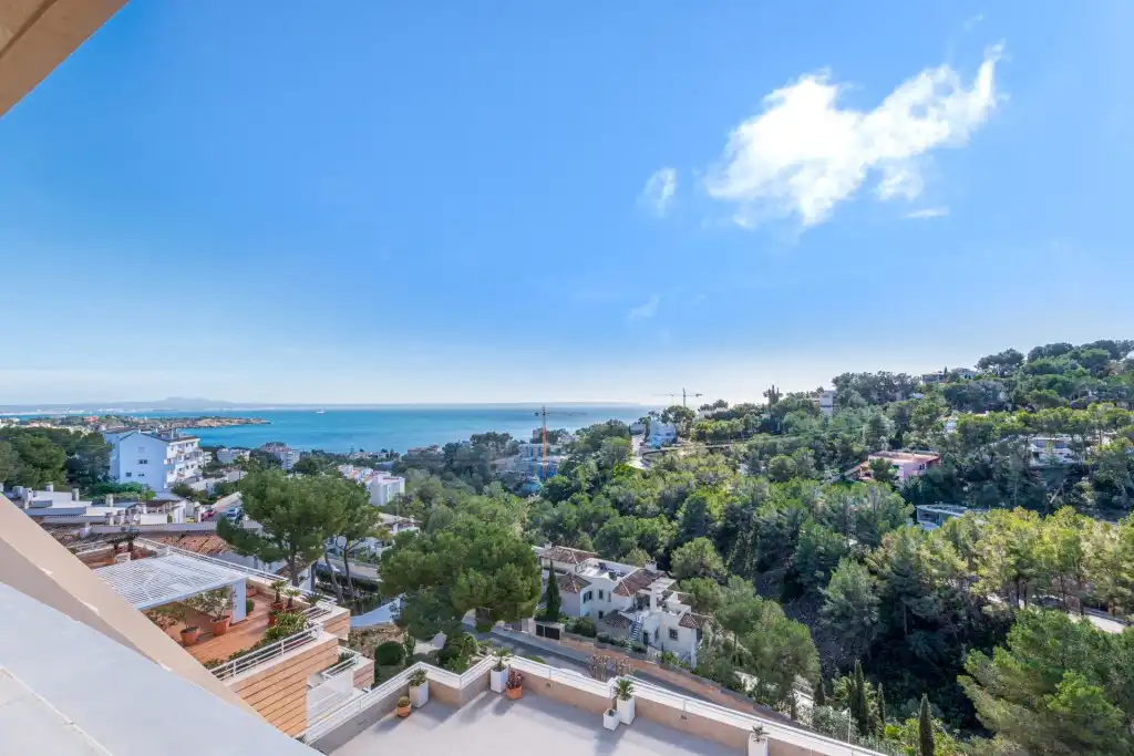Penthouse with pool for sale in Cas Català - Illetes, imagen 16
