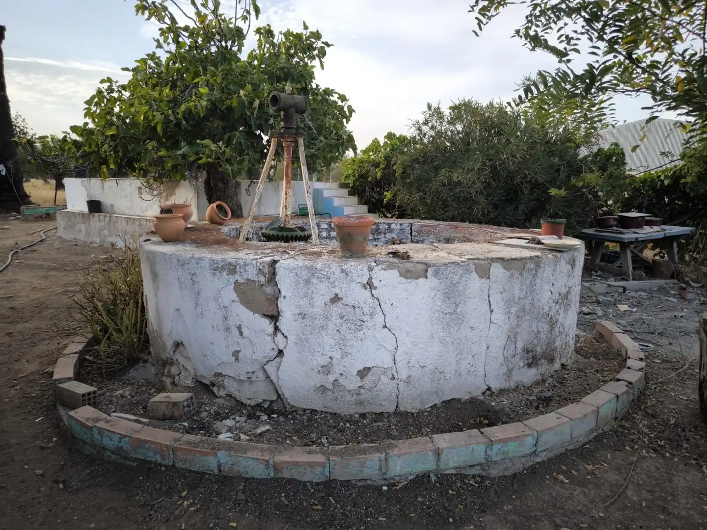 Jardí de Finca rústica en venda en El Viso de San Juan