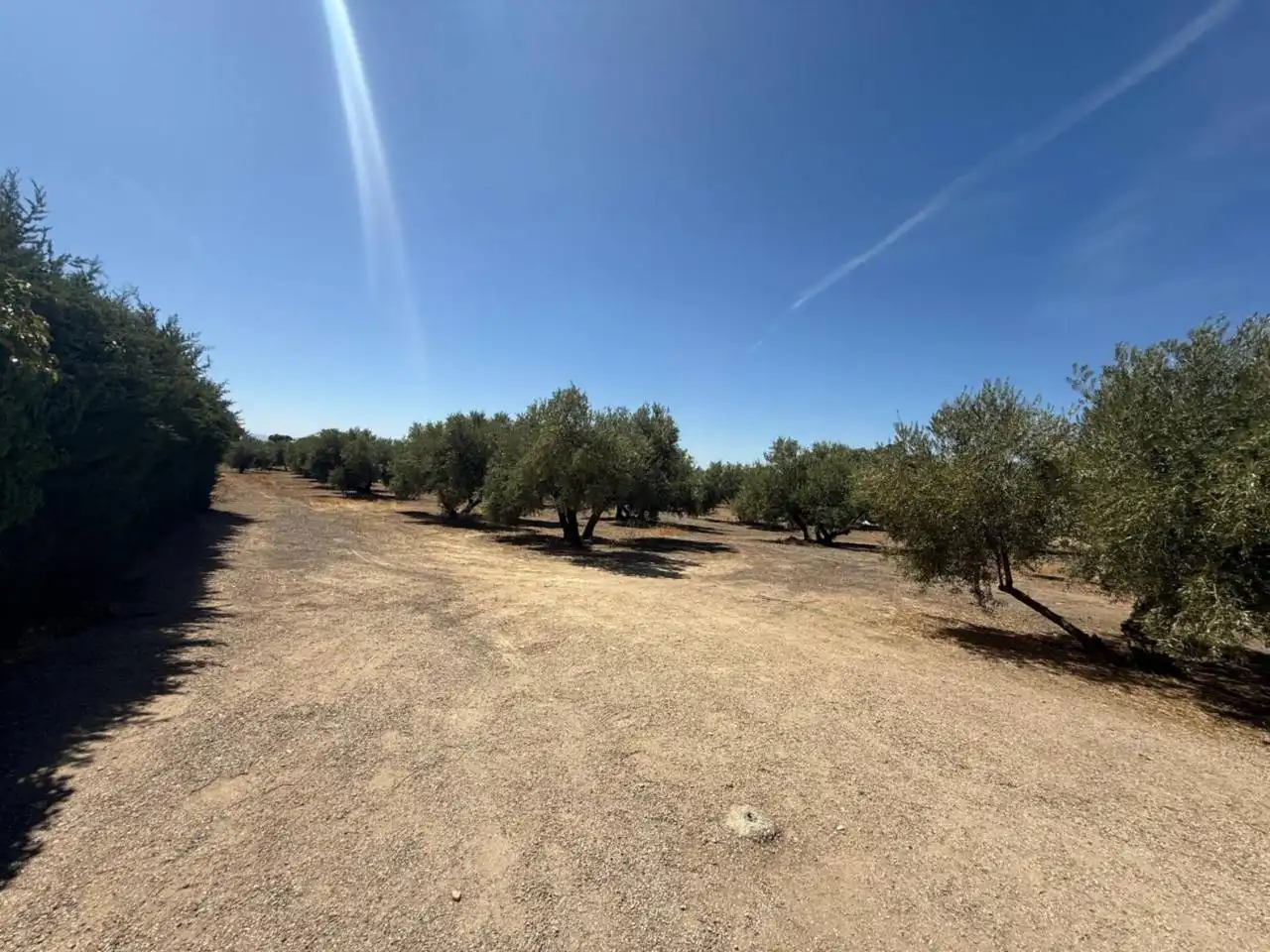 Finca rústica en venta en Úbeda con Jardín privado y Piscina