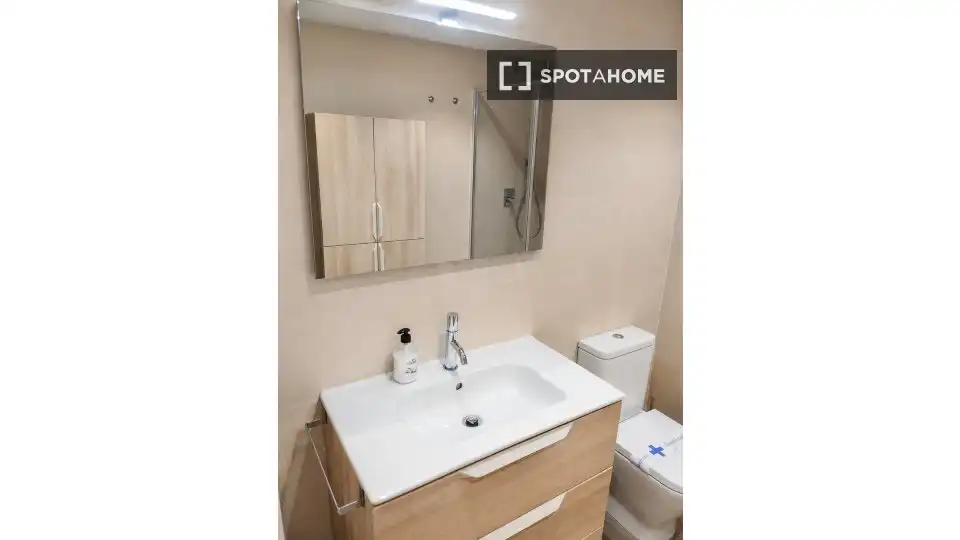 Baño de Piso para compartir en Madrid con Aire acondicionado, Calefacción y Amueblado
