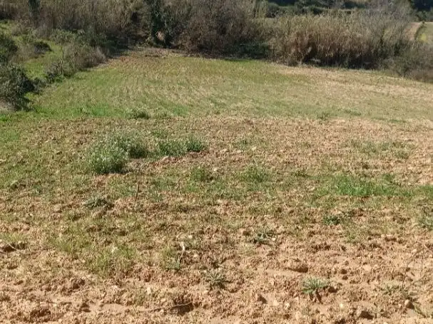 Rustikales Grundstück zum Verkauf in Rebato 1, imagen 8