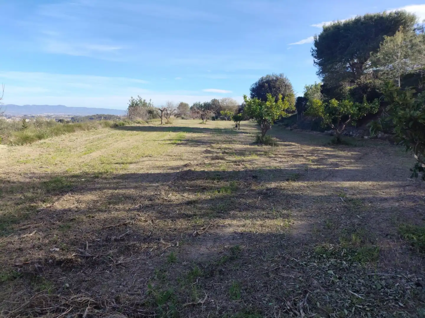 Terreno residenziale in vendita a Agullent, imagen 12
