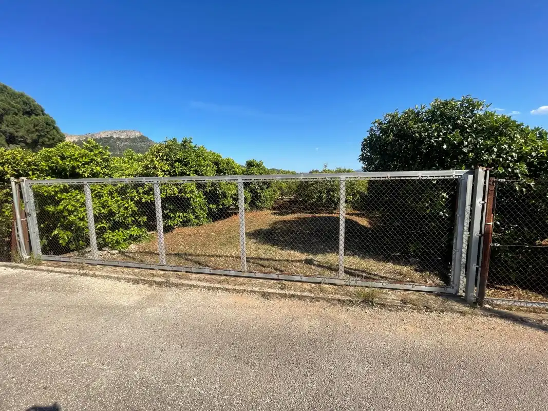 Terrain rustique à vendre à Partida Bases 254, imagen 4