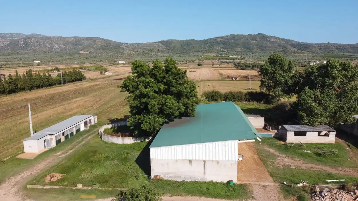 Rural land for sale in Ulldecona, imagen 6