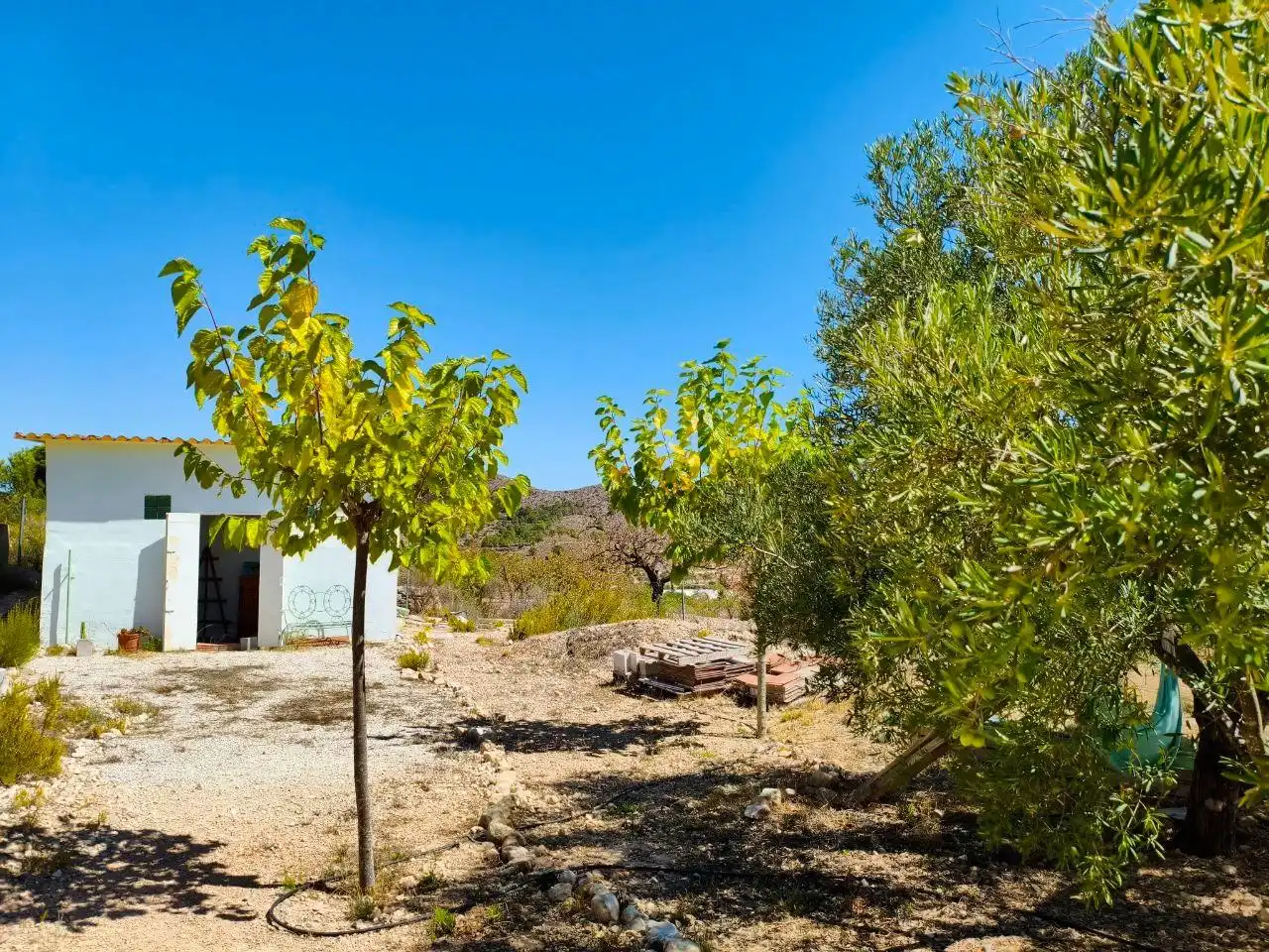 Casa rústica en venda a Hondón de las Nieves / El Fondó de les Neus, imagen 20