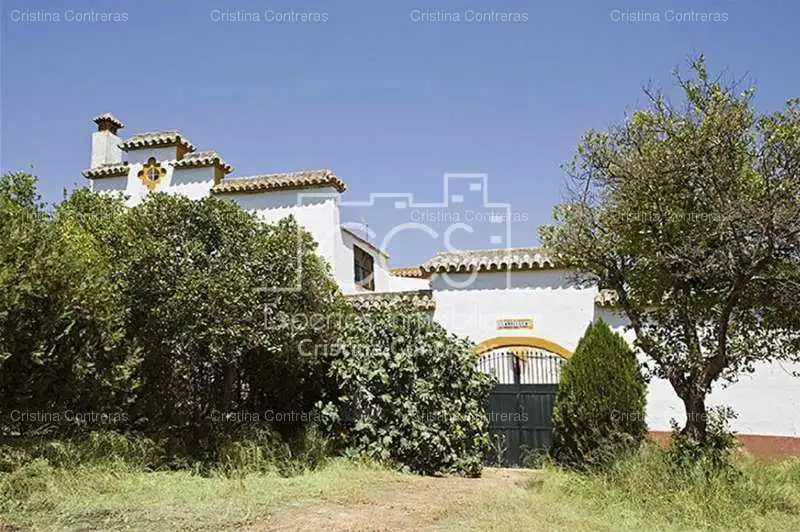 Vista exterior de Finca rústica en venta en Alcalá de Guadaira con Jardín privado y Piscina