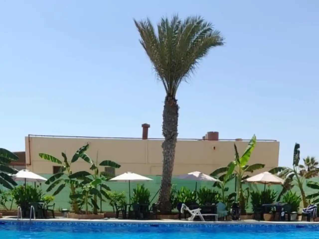 Apartment mit Terrasse zum Verkauf in La Mata, imagen 33