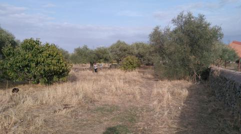 Foto 5 von Residential zum Verkauf in Calle Nueva, Santa Ana, Cáceres