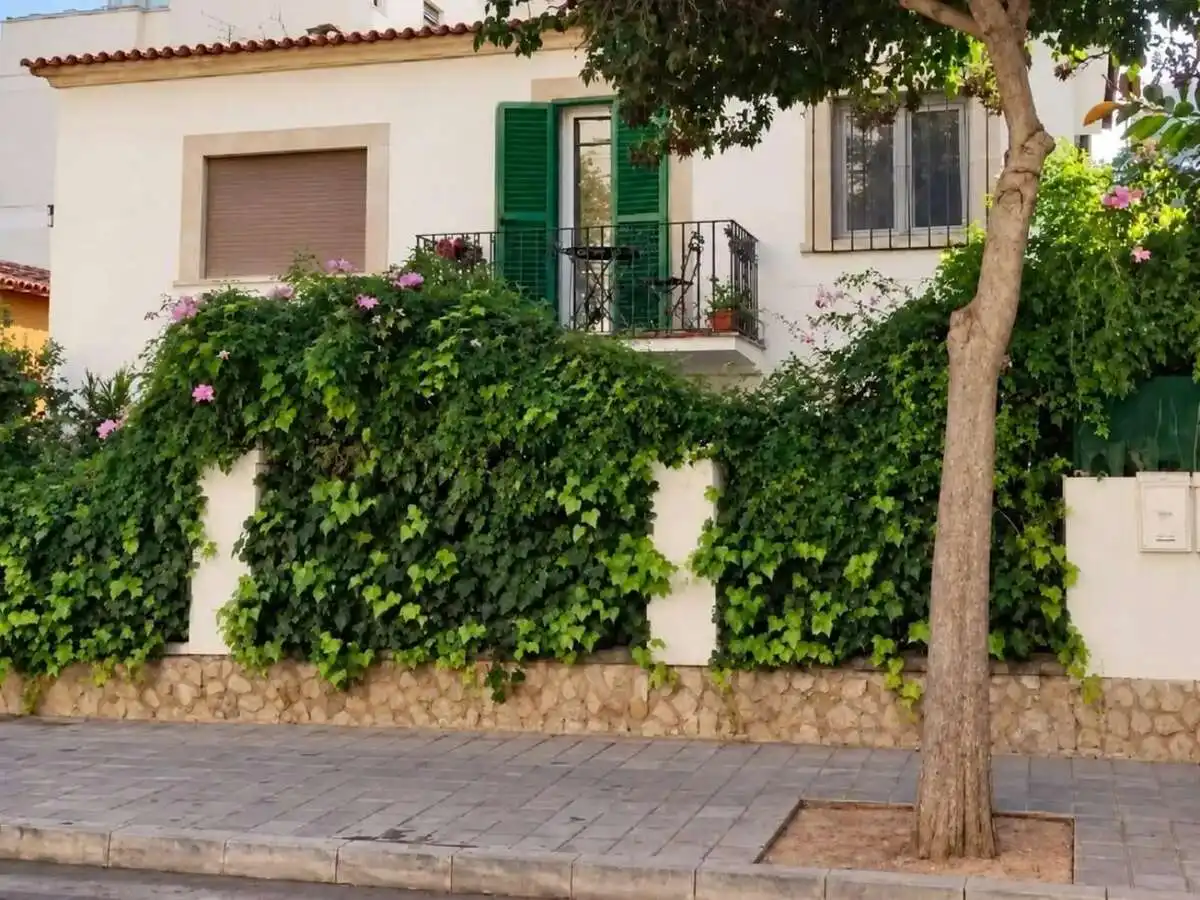 Piso con terraza en venta en Platja de Palma, imagen 6