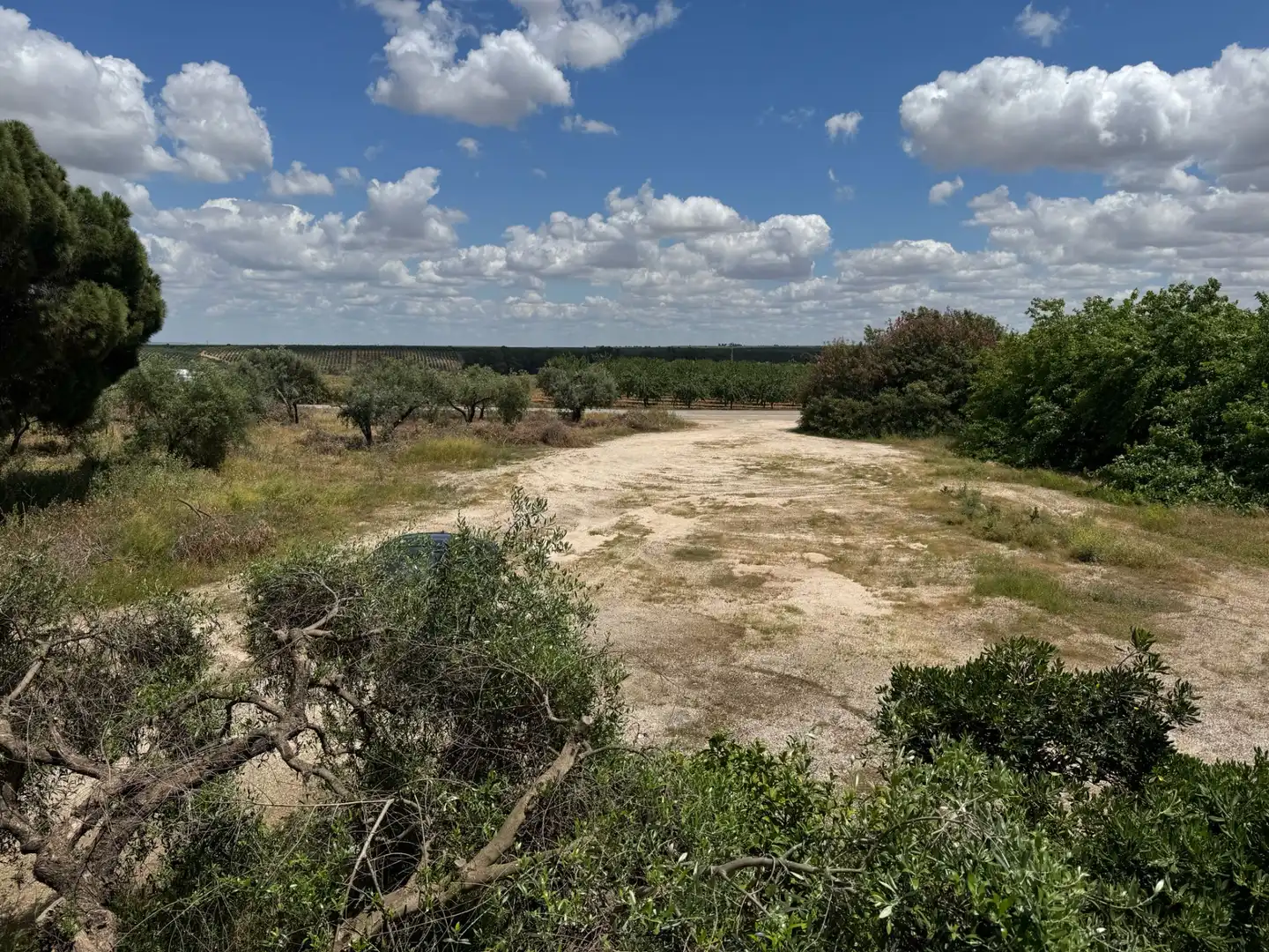 Gebäude zum Verkauf in Marchena mit Gemeinschaftspool
