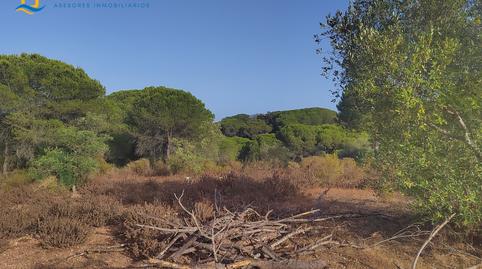 Photo 4 of Country house for sale in Isla Cristina Ciudad, Isla Cristina