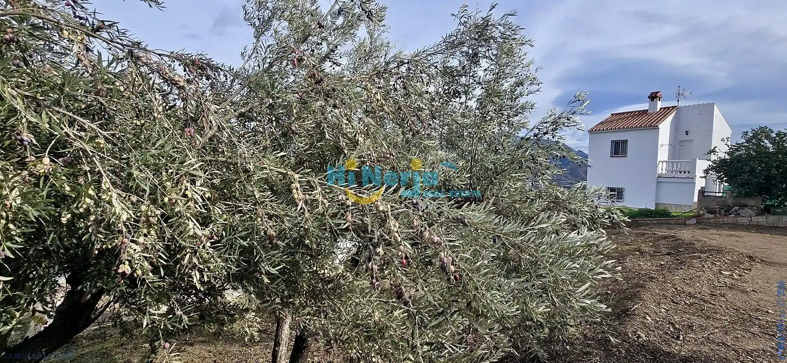 Maison à vendre à Torrox Pueblo, imagen 2