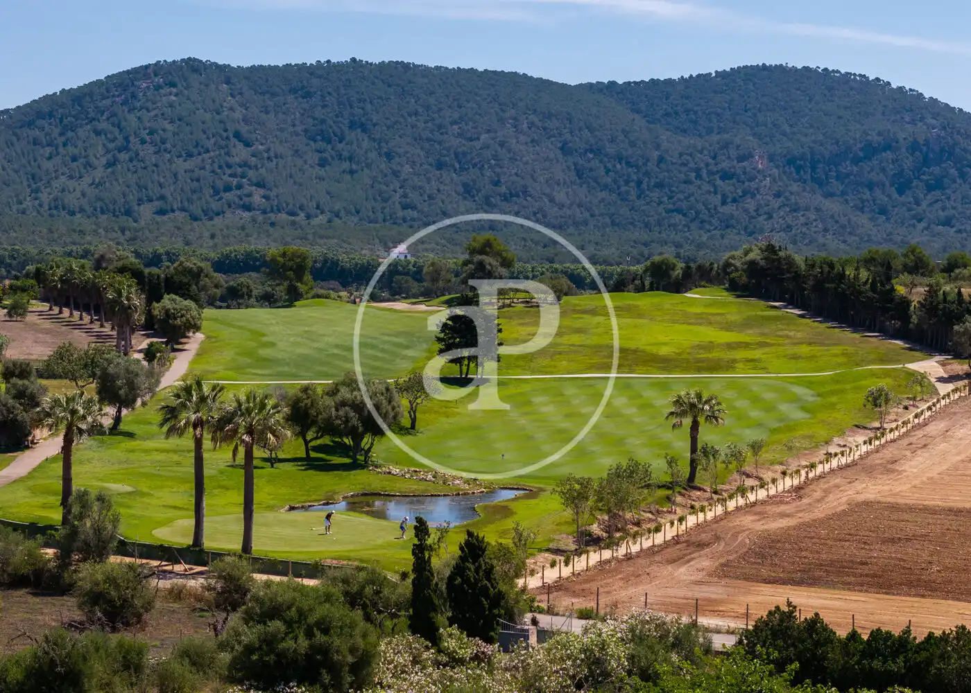 Vista exterior de Casa o chalet en venta en Son Servera con Aire acondicionado, Calefacción y Jardín privado