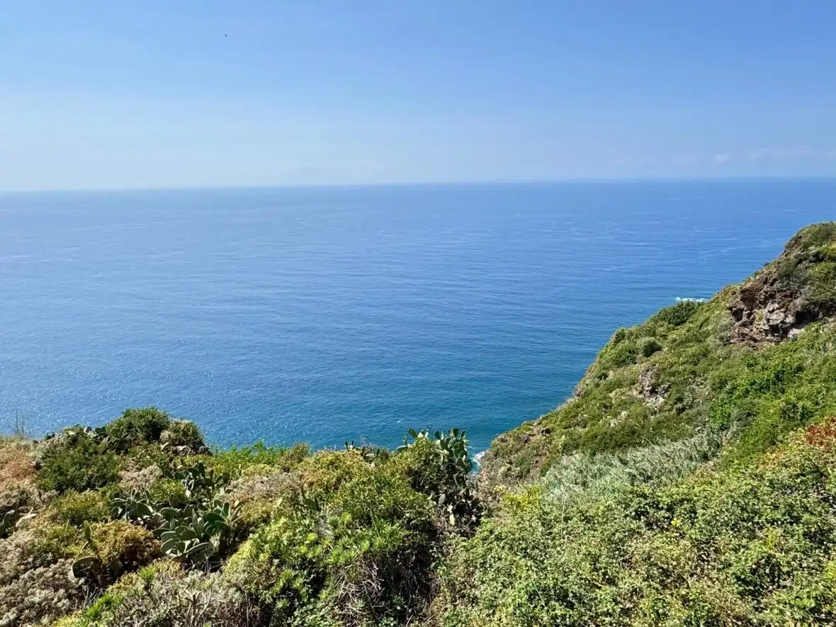 Casa o chalet en venta en Tacoronte con Terraza y Sauna