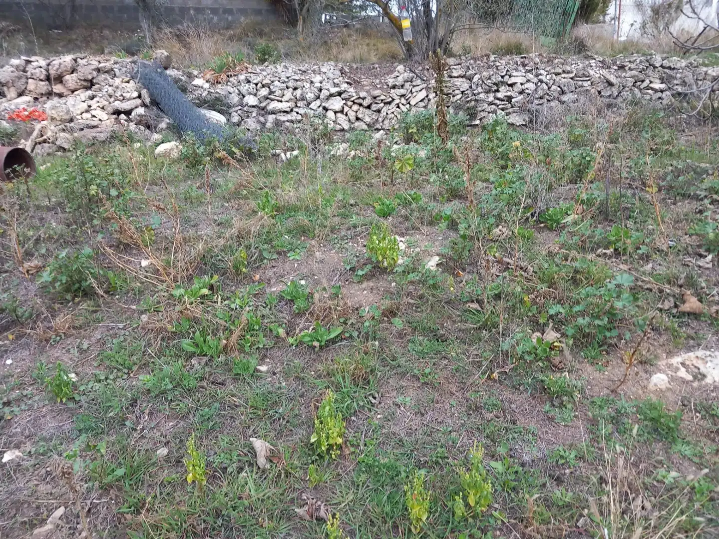 Residential land for sale in Torrelles de Foix, imagen 5