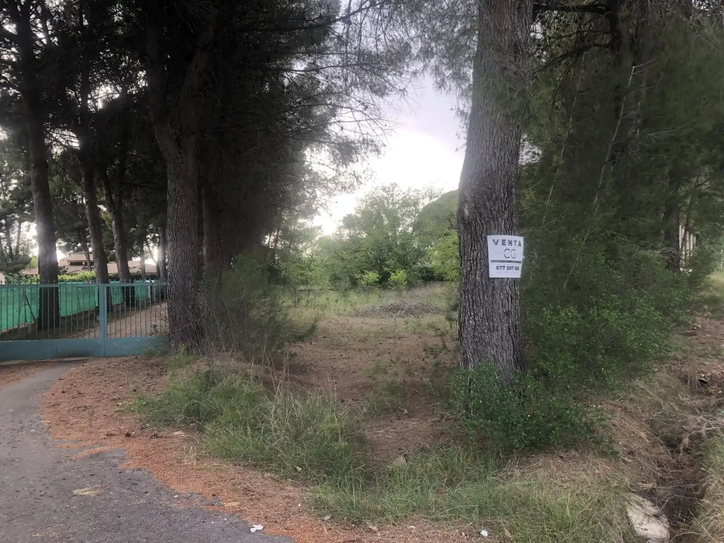 Terrenos y solares en venta en Hellín, imagen 5