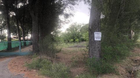 Terreno en venta en Hellín., immagine 5