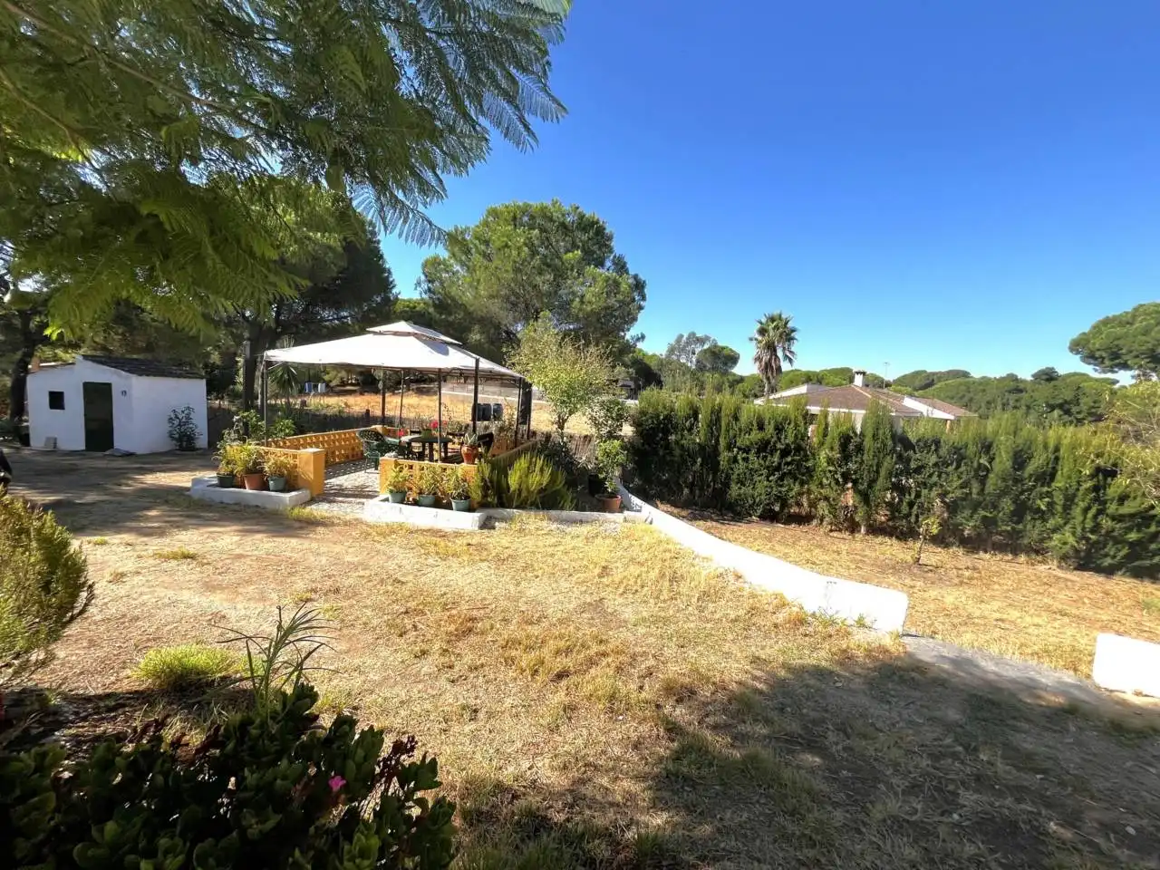 Jardín de Casa o chalet en venta en Valverde del Camino con Jardín privado, Terraza y Amueblado