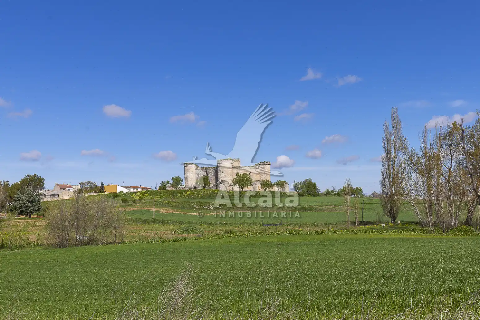 Terreno residencial en venta en Pioz, imagen 39