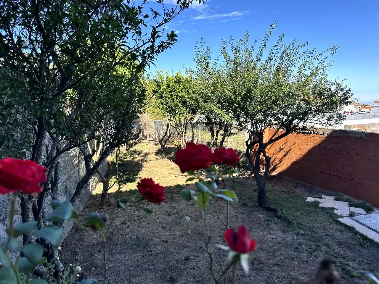 Maison avec jardin à vendre à El Tanque, imagen 17