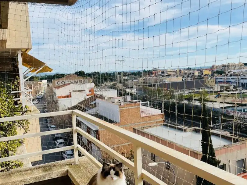 Flat with lift for sale in Placa d'Almoster 3, imagen 2