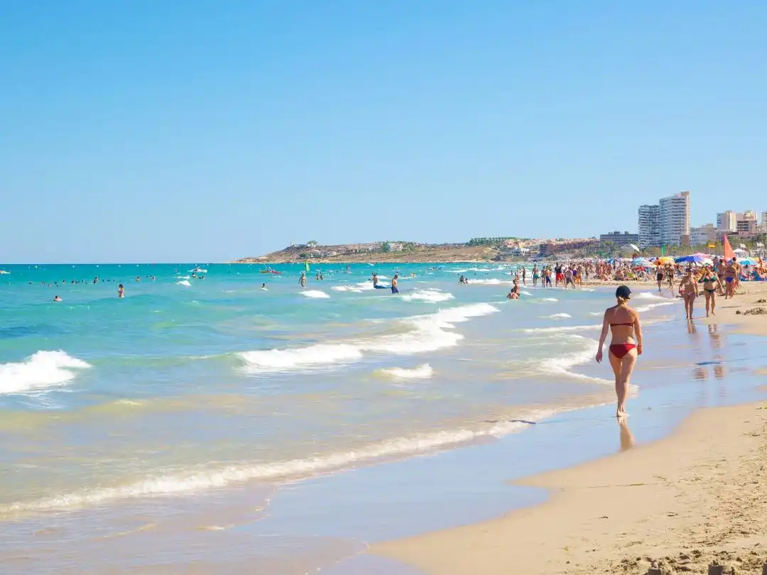 Wohnungen zur Miete in Alicante / Alacant, Alicante