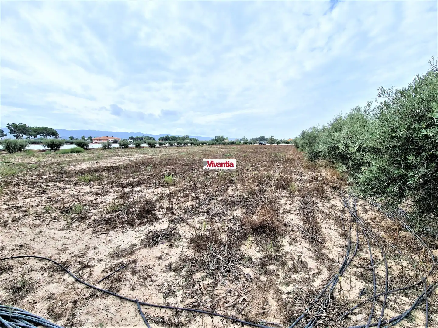 Residential for sale in Lorca