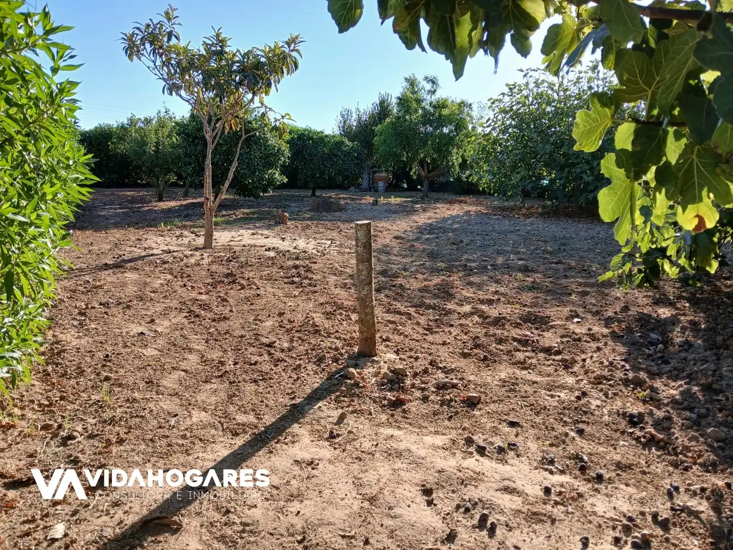 Finca rústica en venda en Rota