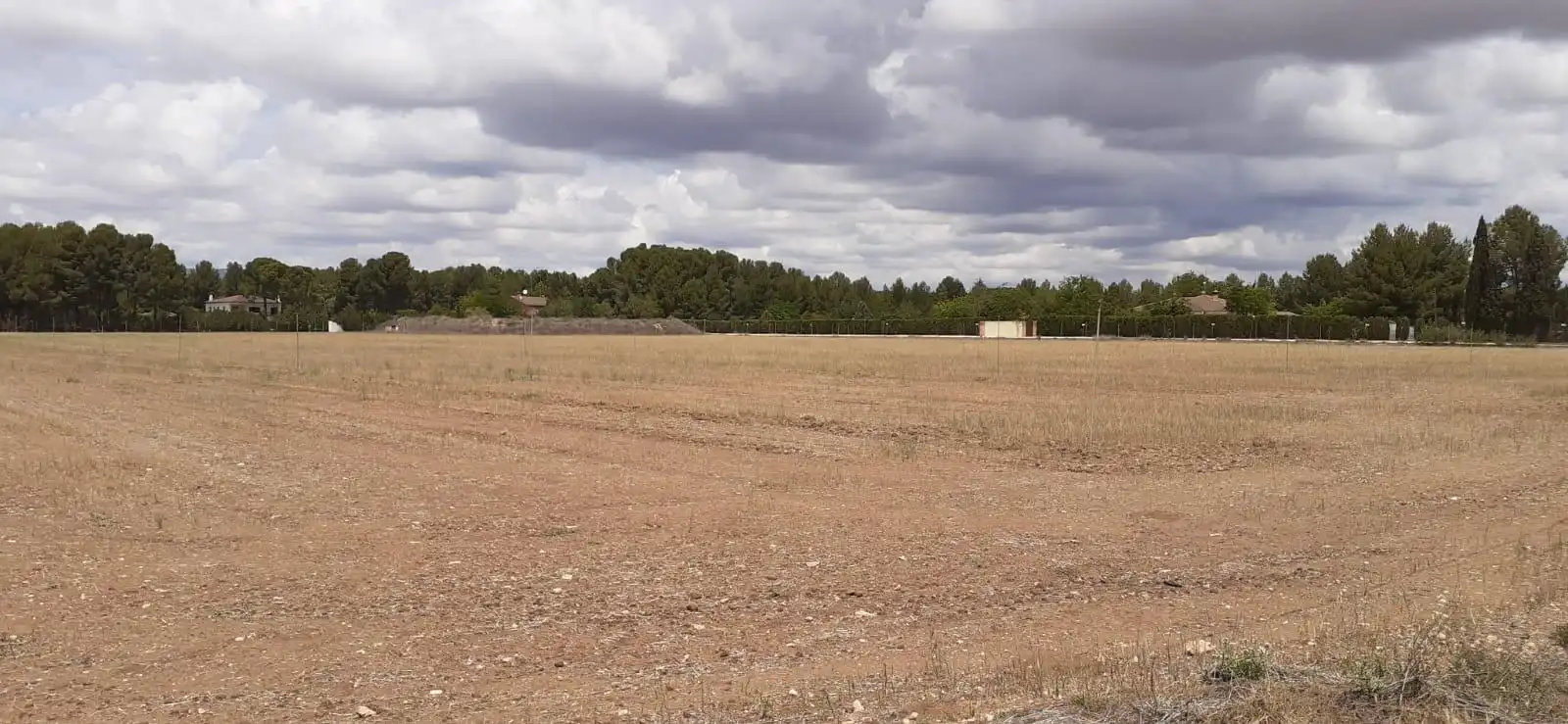 Terreno rustico in vendita a Almansa