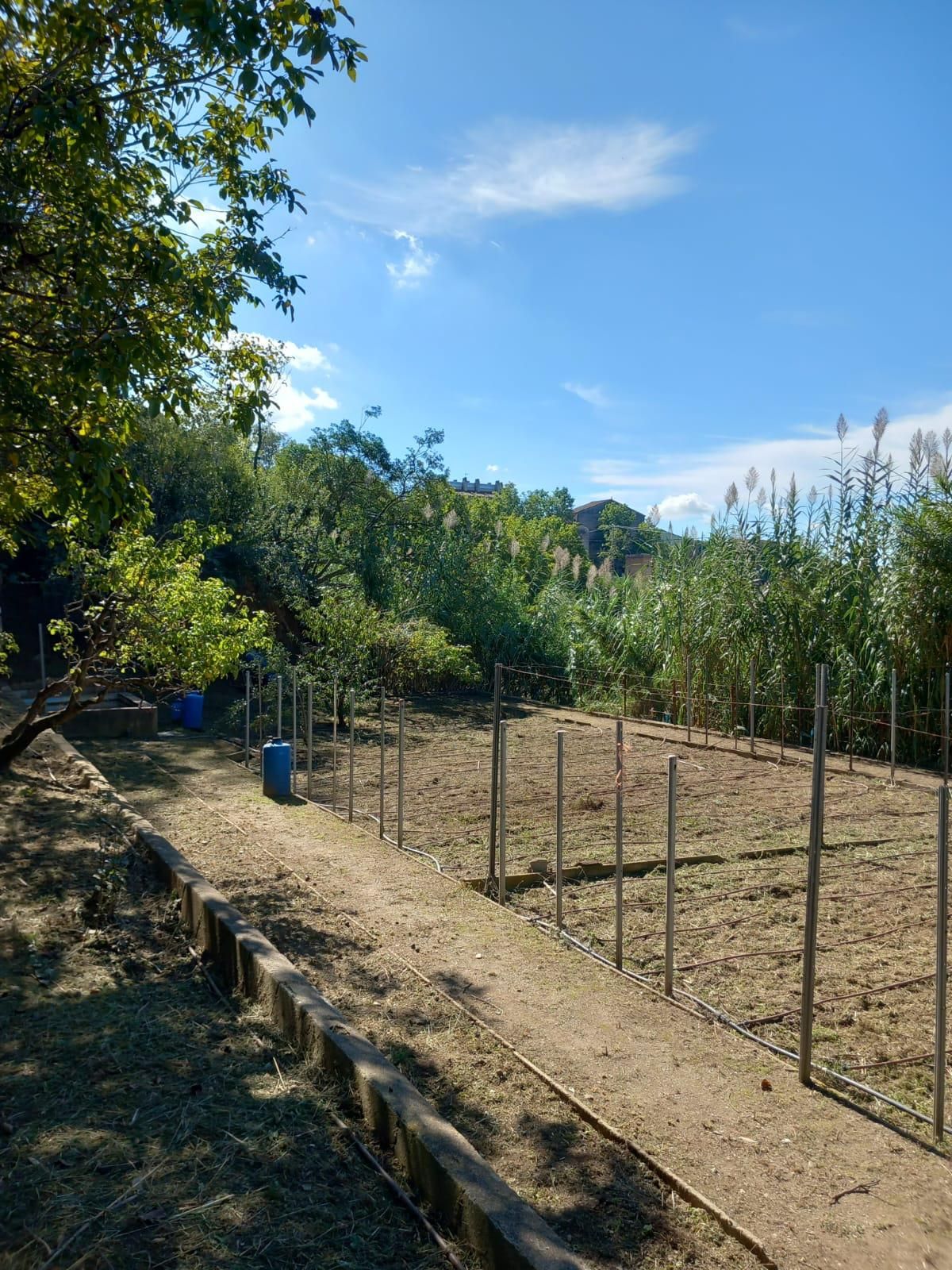 Jardí de Terreny en venda en Piera