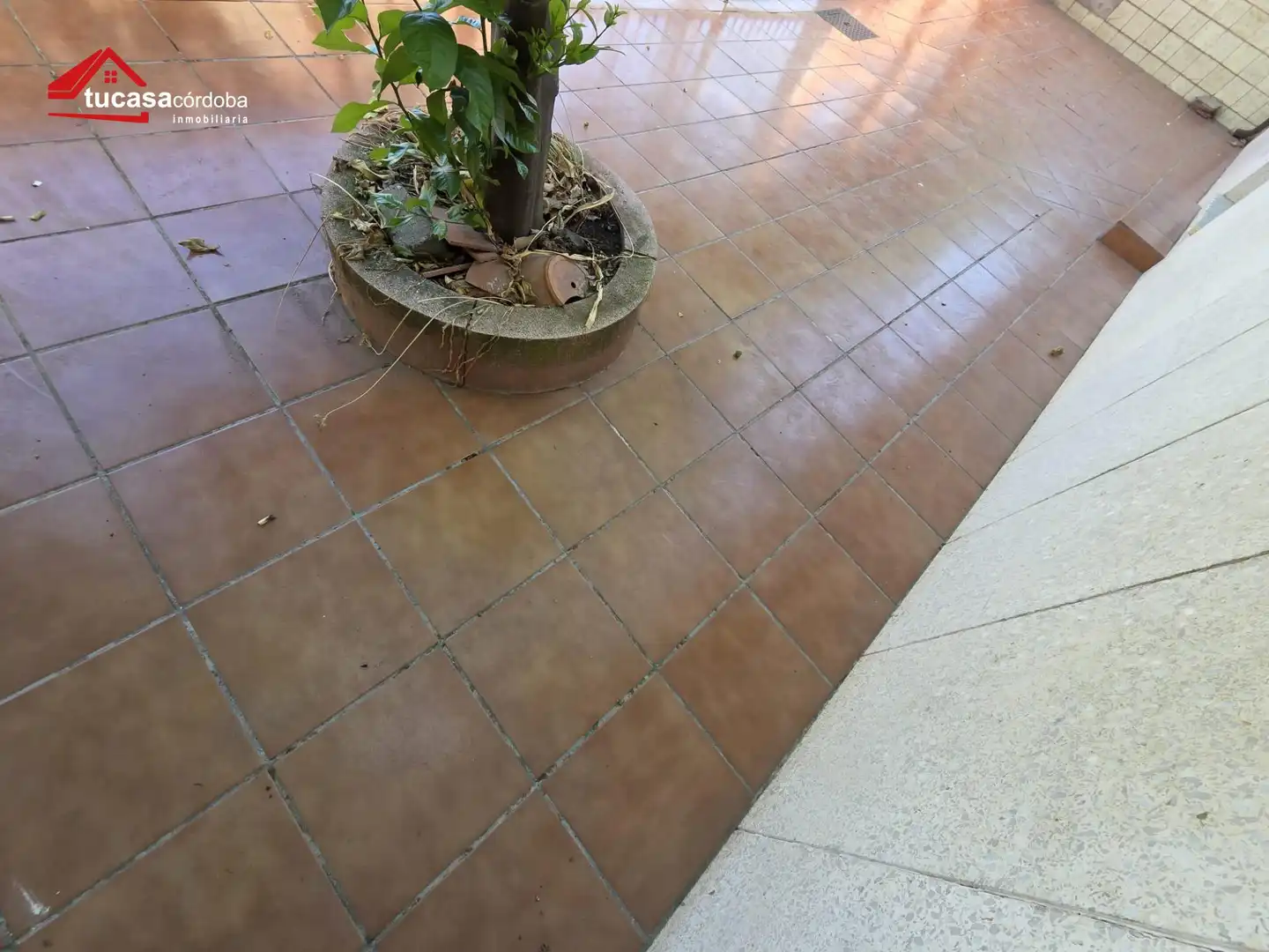 Casa con terrazza in vendita a Sur, imagen 42