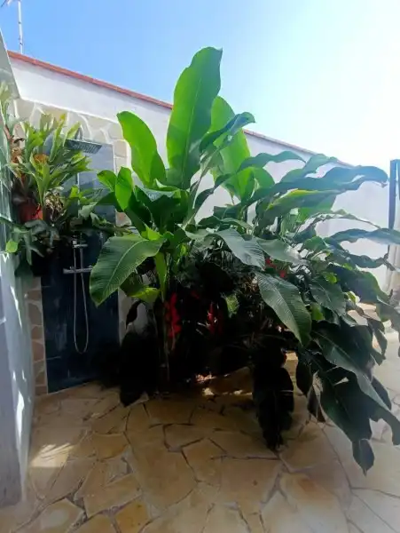 Casa o chalet en venta en Calle el Esquiĺón, 11, San Antonio - Las Arenas