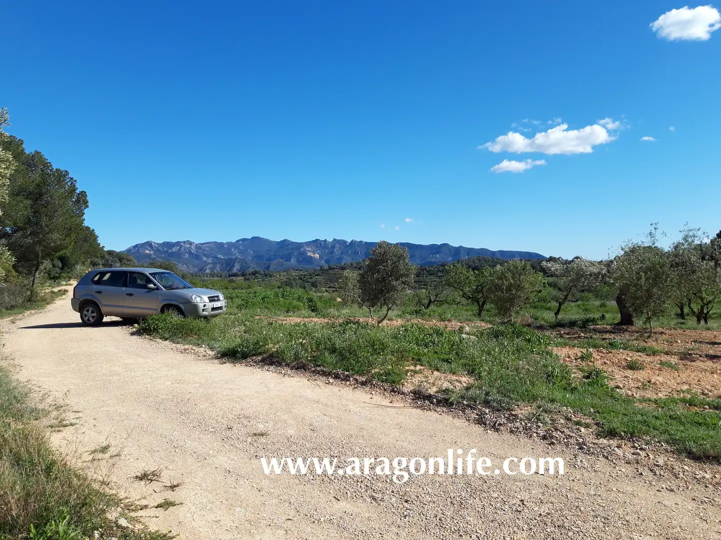 Country homes for sale in El Pinell de Brai