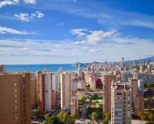 Exterior view of Apartment for sale in Benidorm