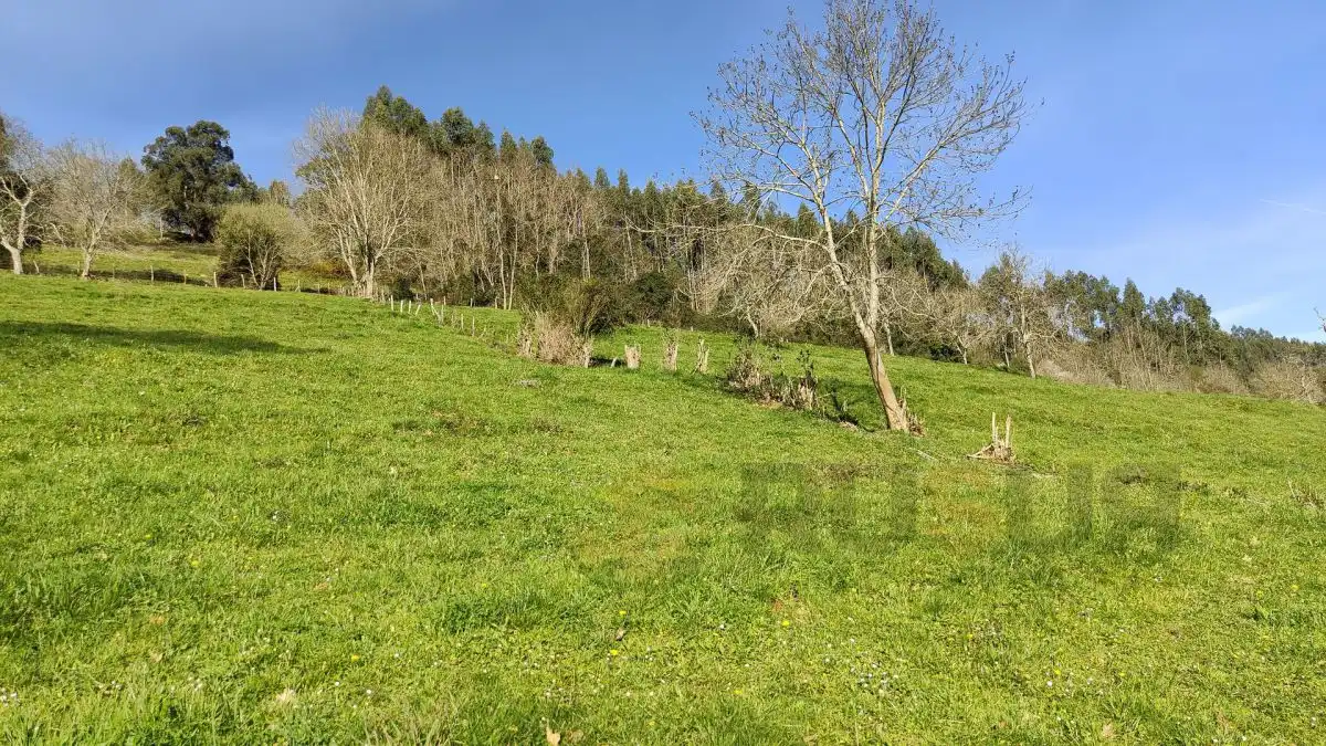 Terreni e lotti in vendita a Villegar, imagen 33
