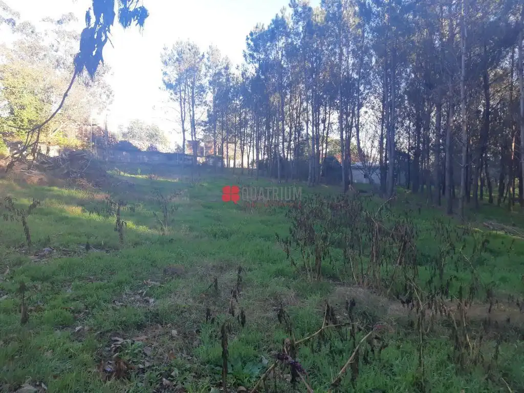 Terreny residencial en venda a Vedra, imagen 6