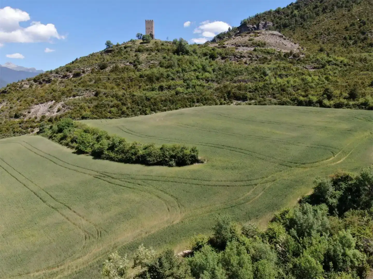 Finca rústica en venda en Sabiñánigo