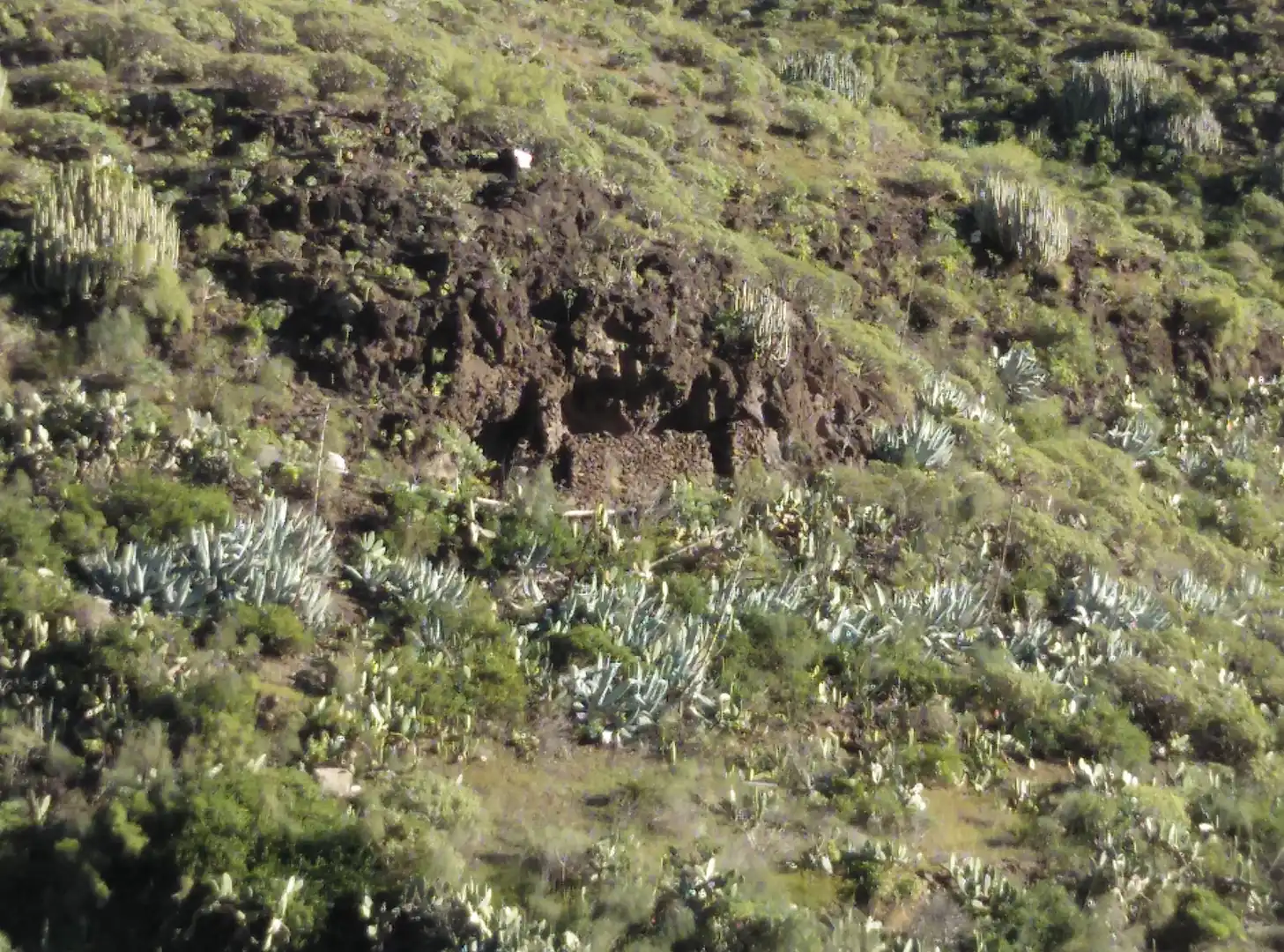 Jardín de Terreno en venta en Cidamón