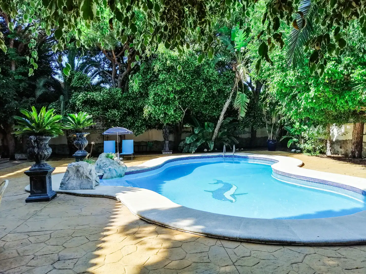 Villa con terrazza in affitto a Avenida de la Barrosa 11, imagen 7