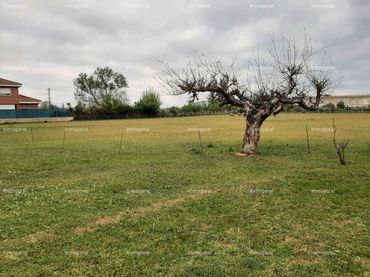 Terreny residencial en venda a Villaquilambre