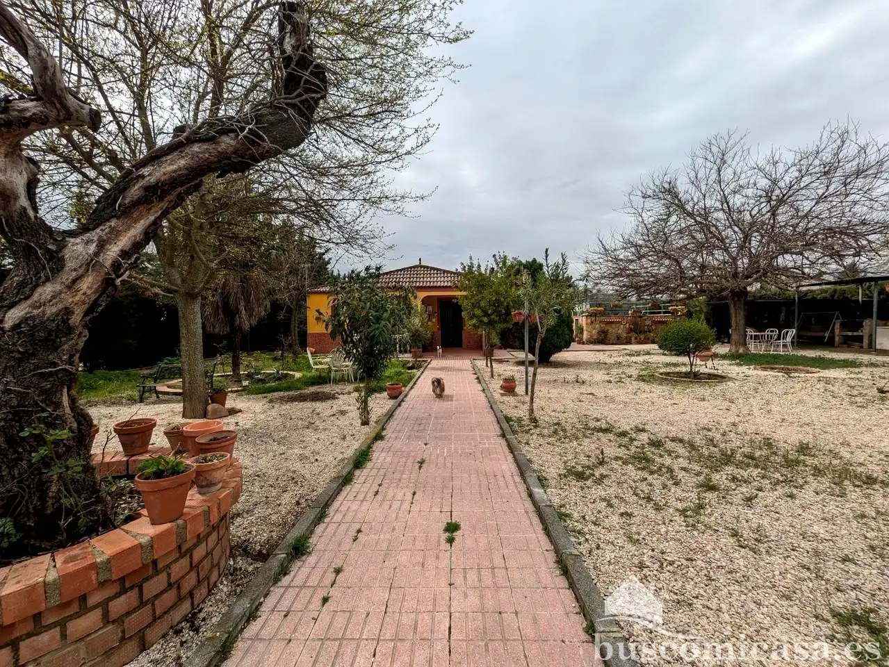 Casa rústica amb piscina en venda a Llanos de La Encina, imagen 33