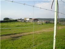 Photo 3 of Land for sale in A-5301, 7, El Real de la Jara, Sevilla