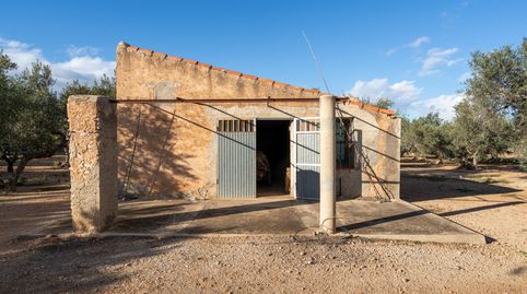 Finca rústica con casa de aperos, pozo propio y balsa de agua