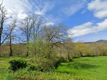 Terrenys i solars en venda a VILLAVERDE