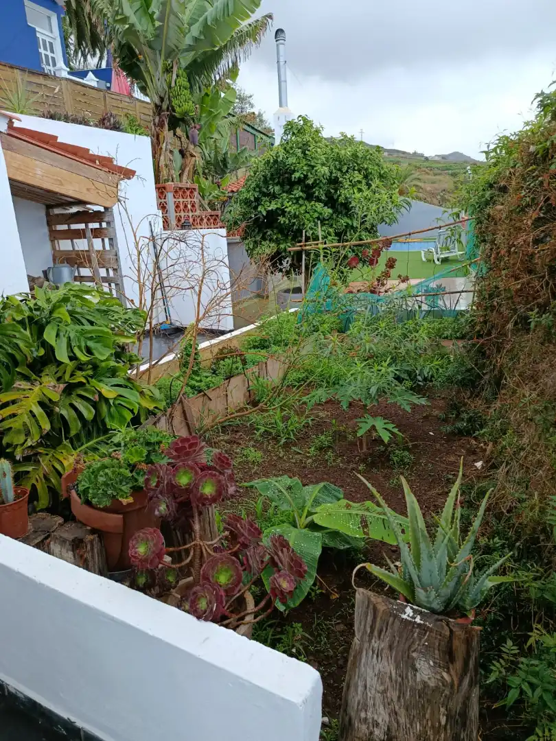 Jardín de Casa o chalet en venta en El Sauzal con Jardín privado, Terraza y Trastero
