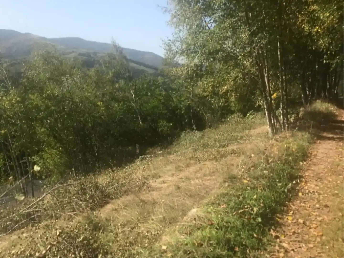Terreno en venta en Pedrafita do Cebreiro