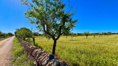 Foto 4 von Residential zum Verkauf in Es Llombards, Santanyí