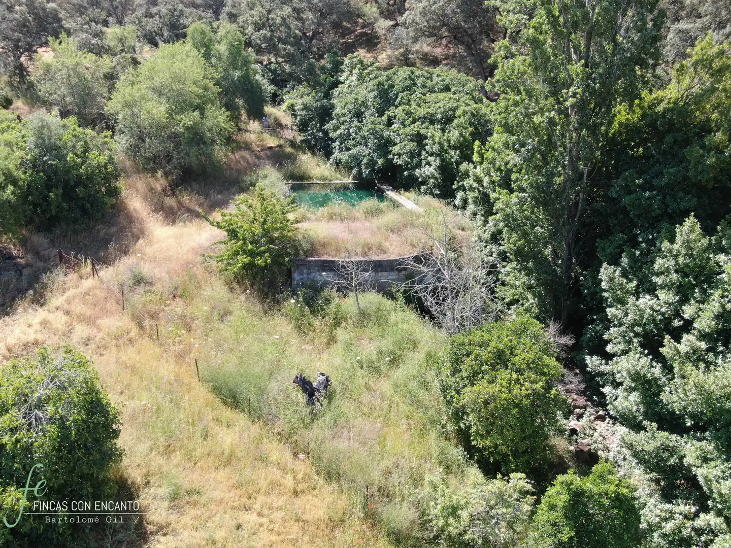 Country homes for sale in Cazalla de la Sierra  with Swimming Pool